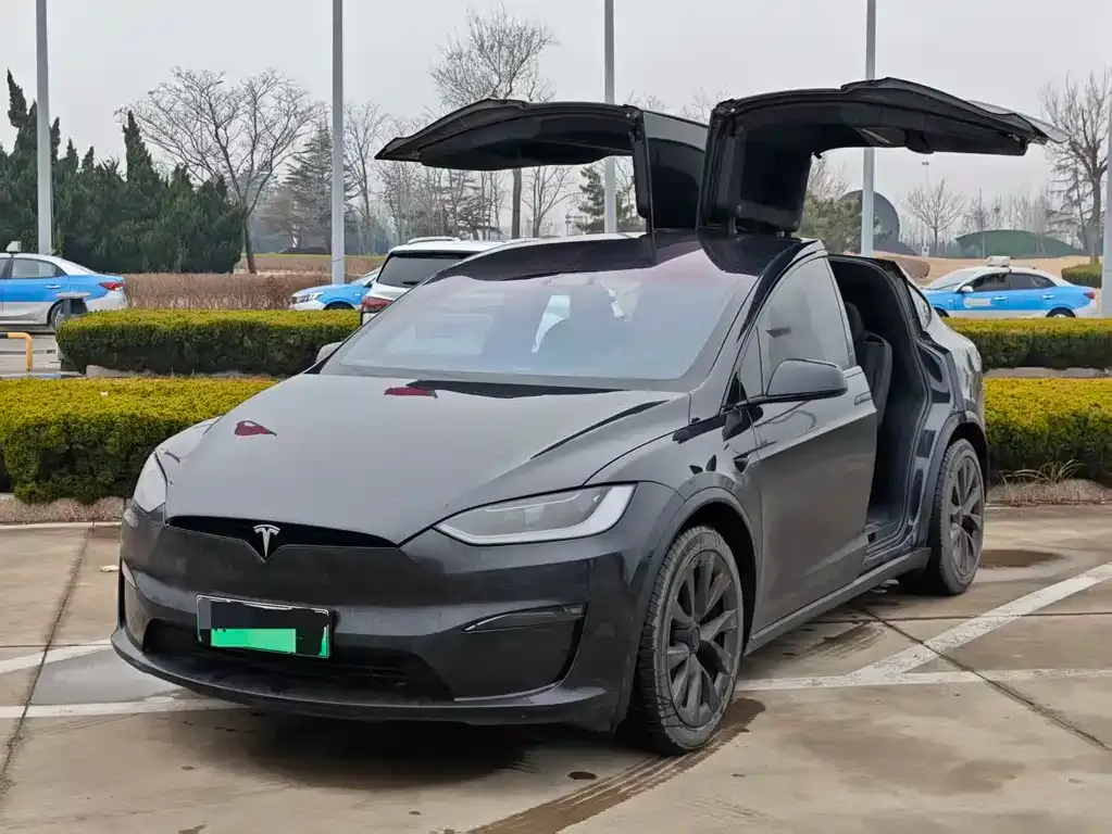 Tesla Model X — фото 1