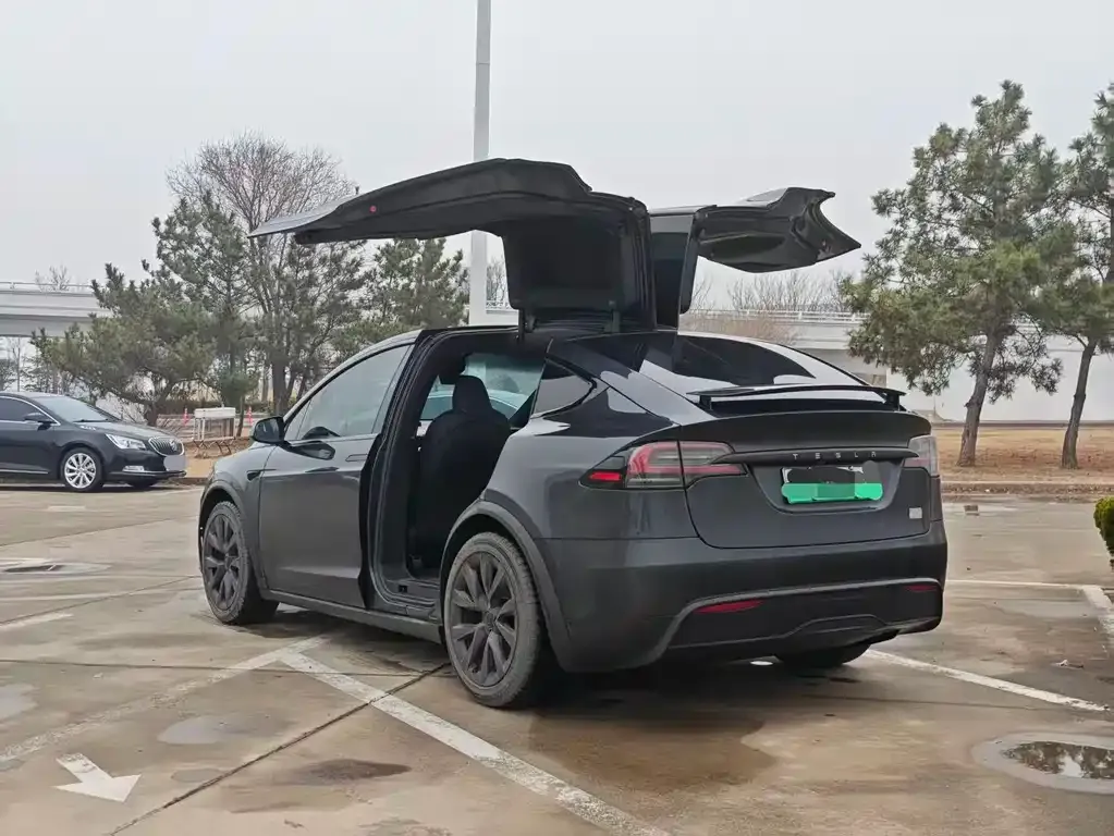 Tesla Model X — фото 7