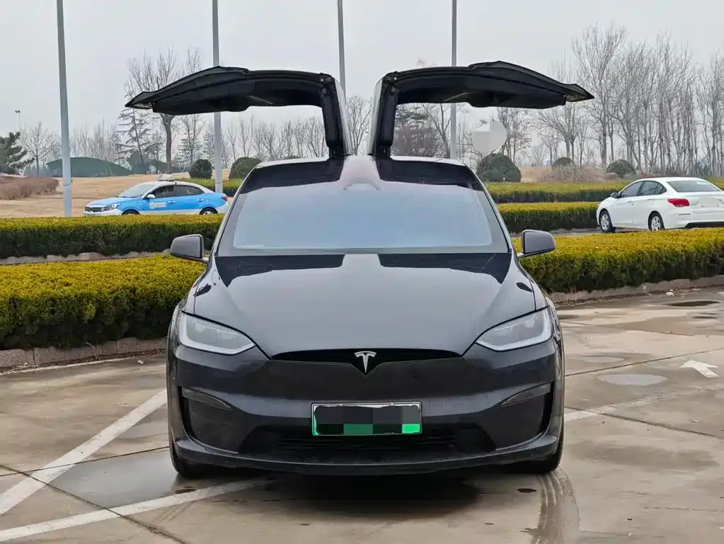 Tesla Model X — фото 6