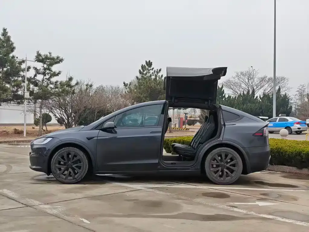 Tesla Model X — фото 9