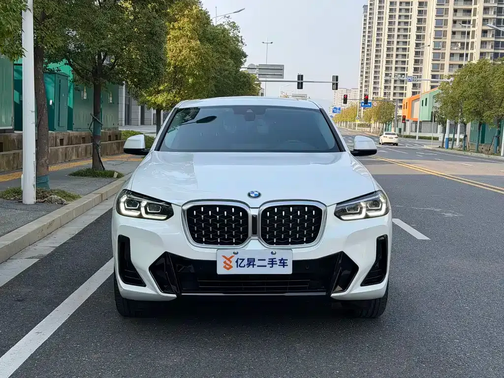 BMW X4 2022 из CN, фото 9