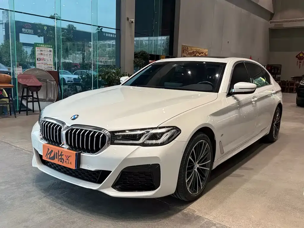 BMW 5 Series 2022 из CN, фото 1