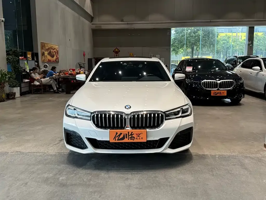 BMW 5 Series 2022 из CN, фото 5