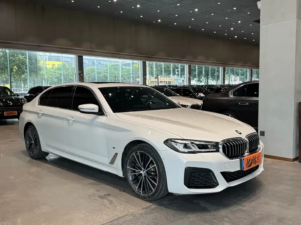 BMW 5 Series 2022 из CN, фото 4
