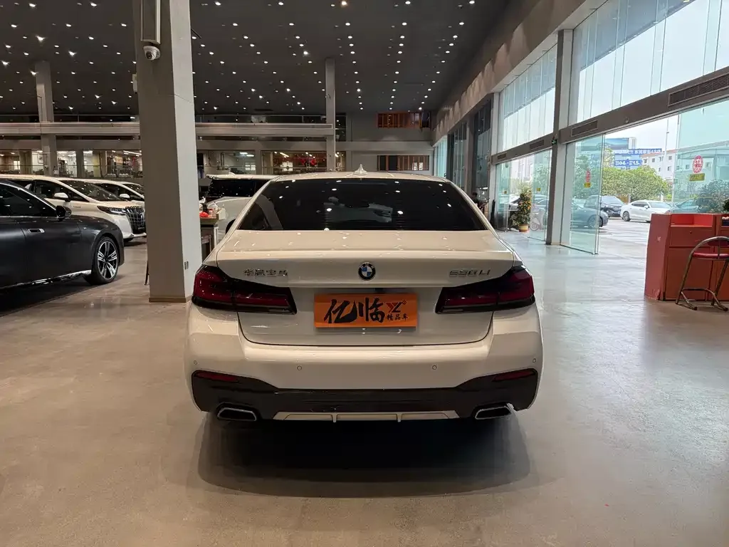BMW 5 Series 2022 из CN, фото 8