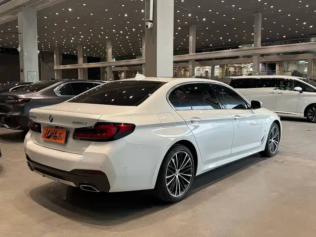 BMW 5 Series 2022 из CN, фото 9