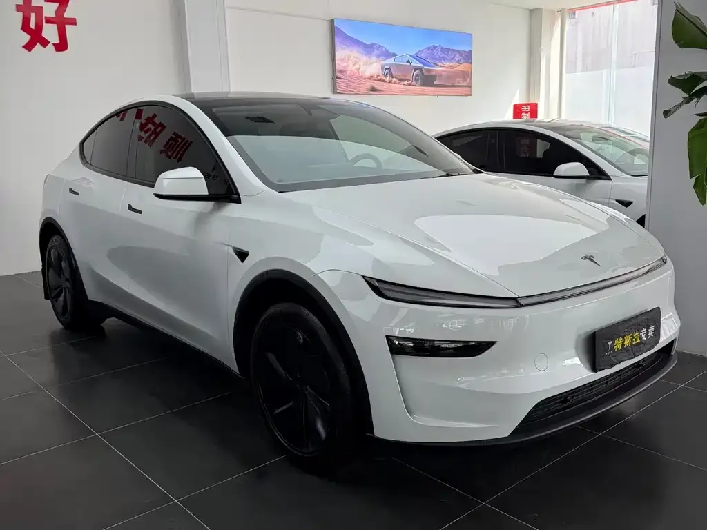 Tesla Model Y — фото 7