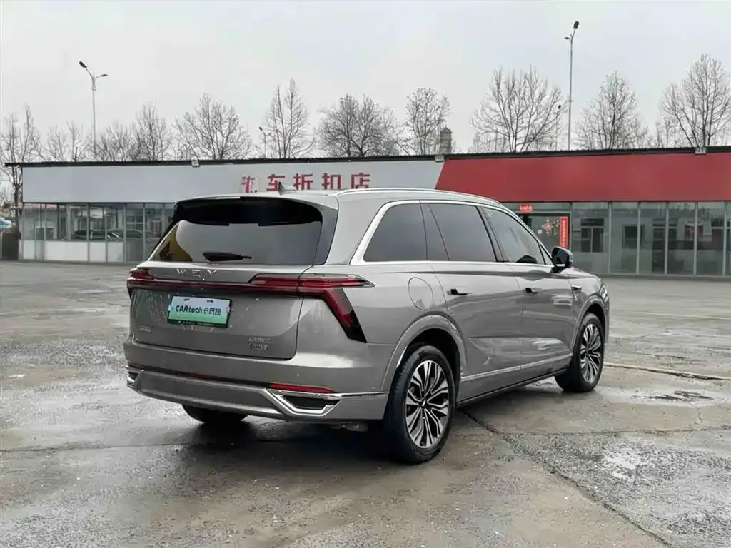 Wey Lanshan 2023 из CN, фото 9