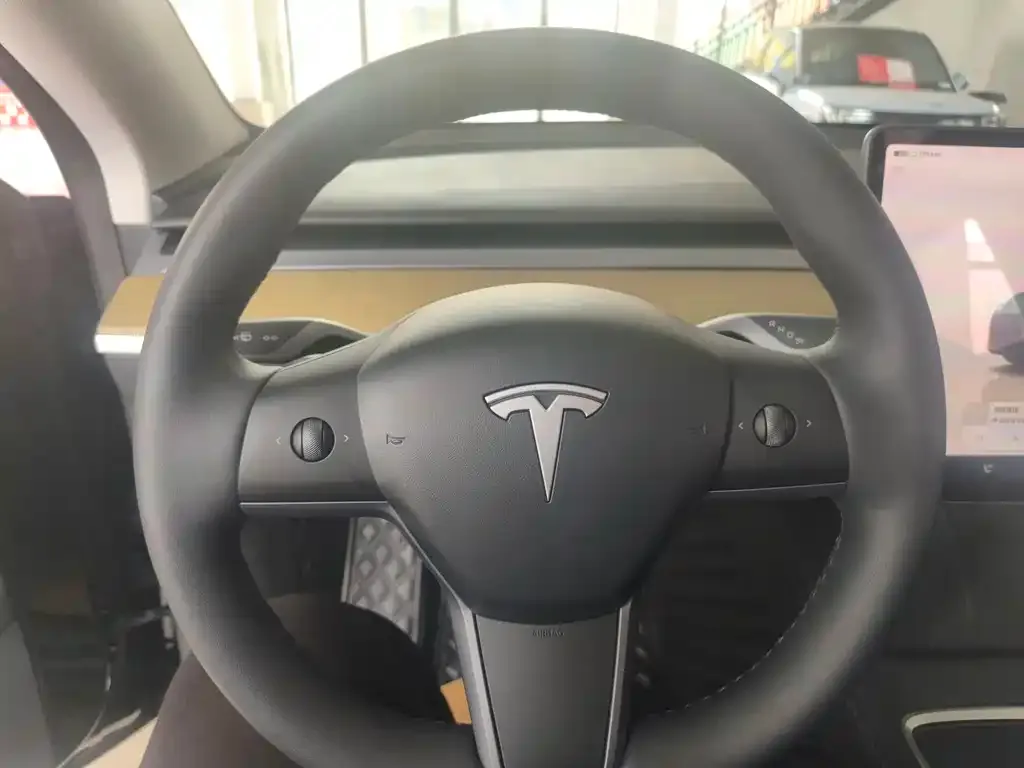 Tesla Model Y 2023 из CN, фото 4