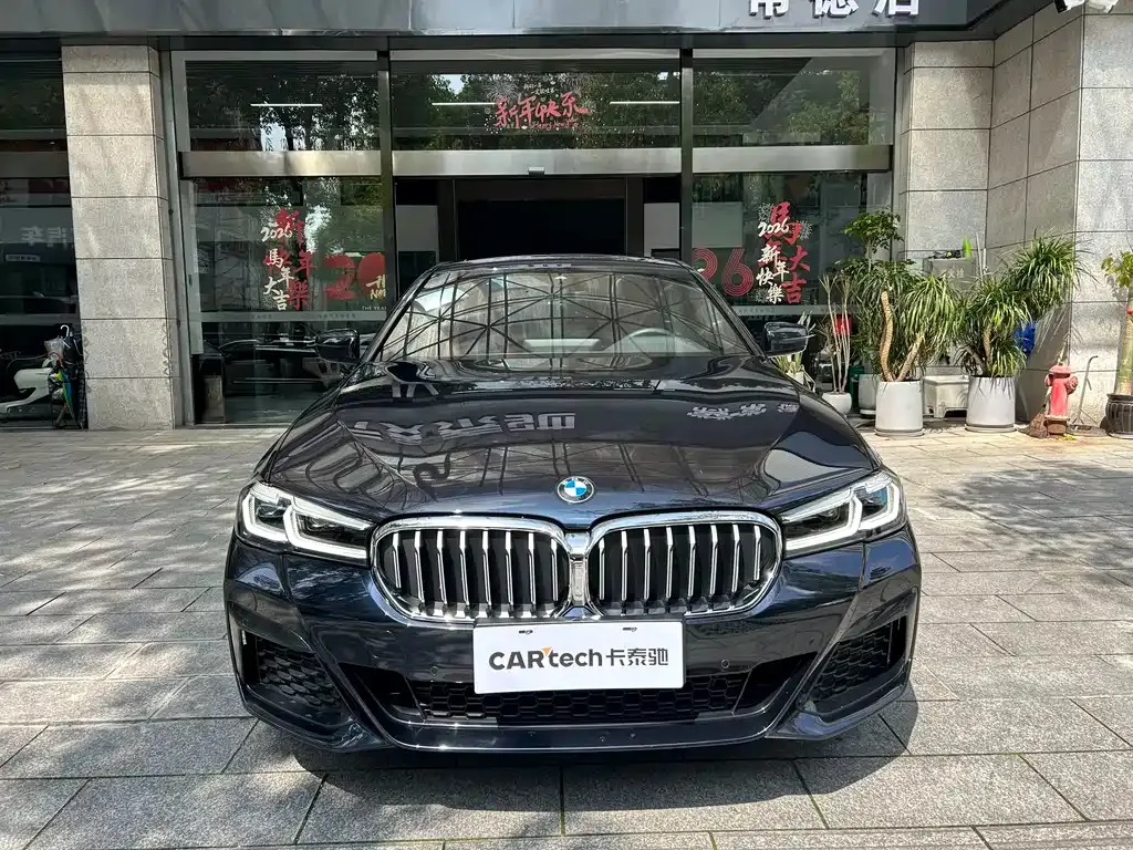 BMW 5 Series 2023 из CN, фото 5