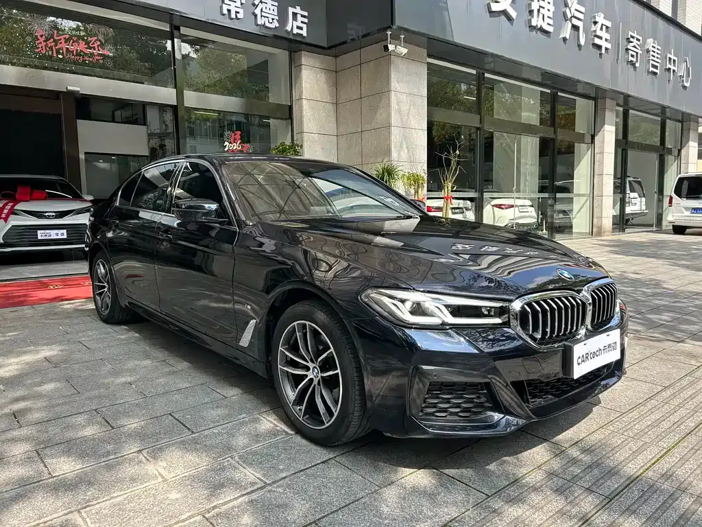 BMW 5 Series 2023 из CN, фото 8