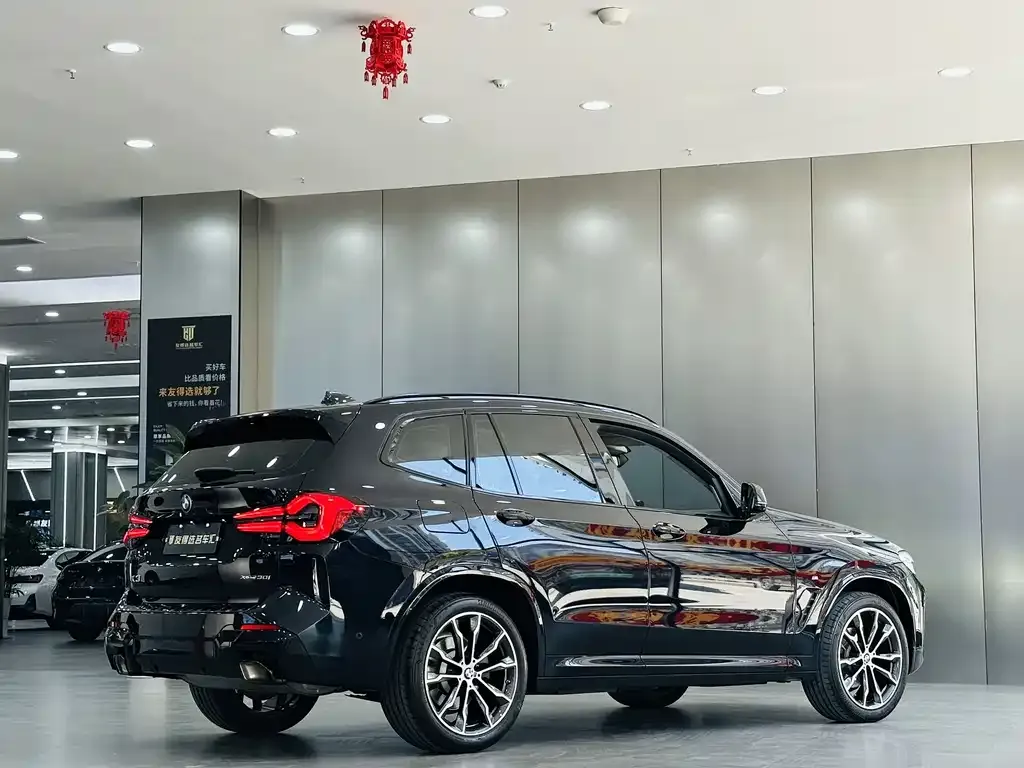 BMW X3 2023 из CN, фото 3