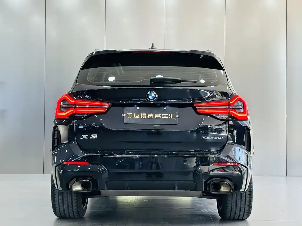BMW X3 2023 из CN, фото 6