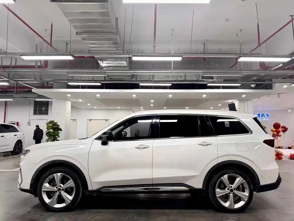Ford Territory 2021 из CN, фото 2