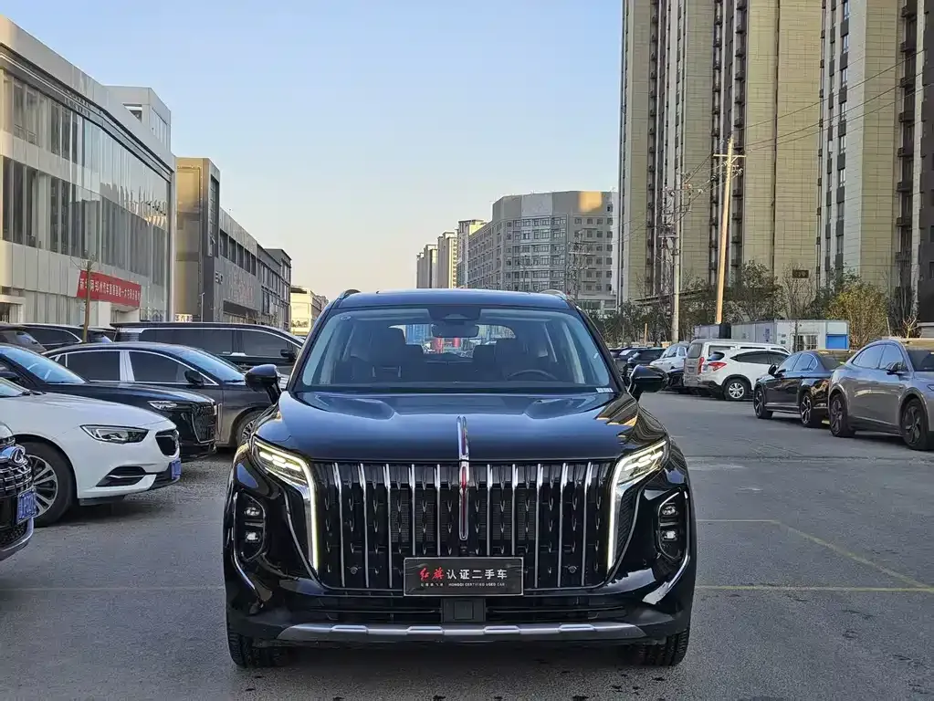 Hongqi HS7 PHEV 2024 из CN, фото 6