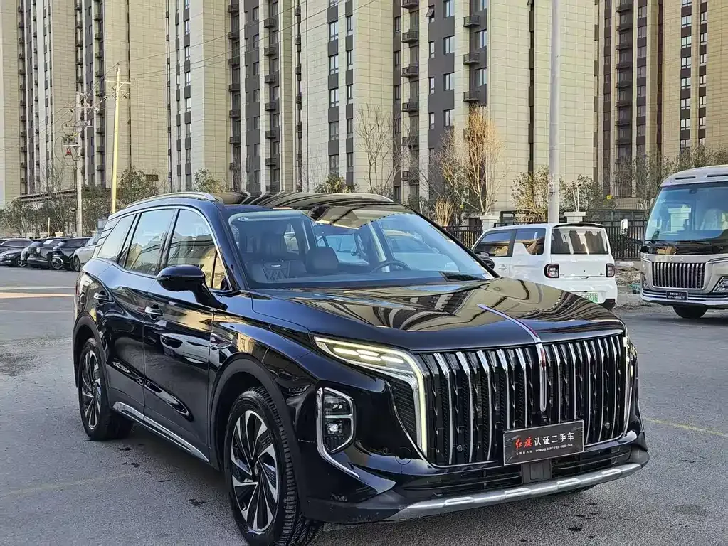 Hongqi HS7 PHEV 2024 из CN, фото 7