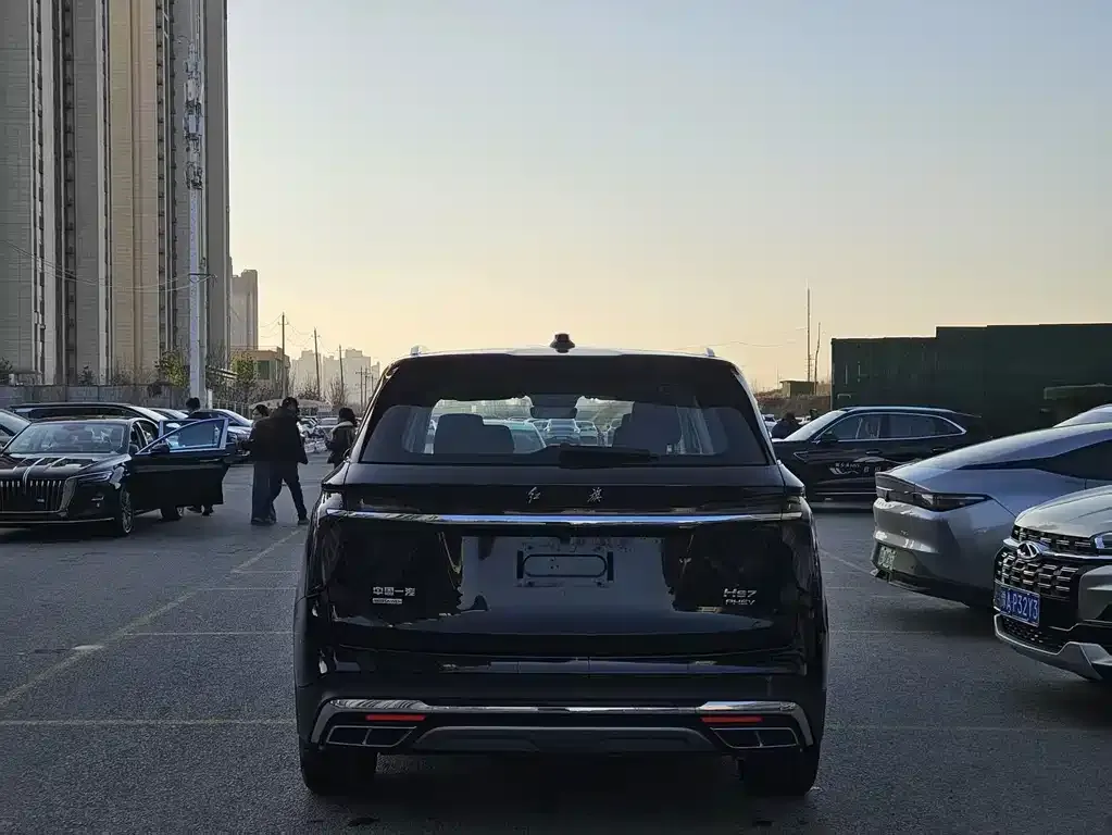 Hongqi HS7 PHEV 2024 из CN, фото 3