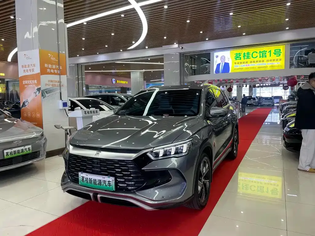 BYD Pro New Energy — фото 1