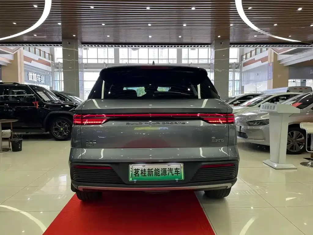 BYD Pro New Energy — фото 4