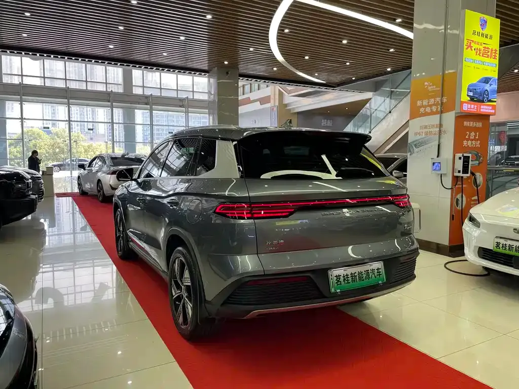 BYD Pro New Energy — фото 7