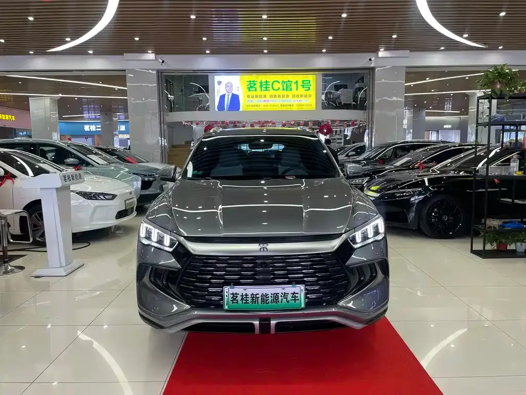 BYD Pro New Energy — фото 10