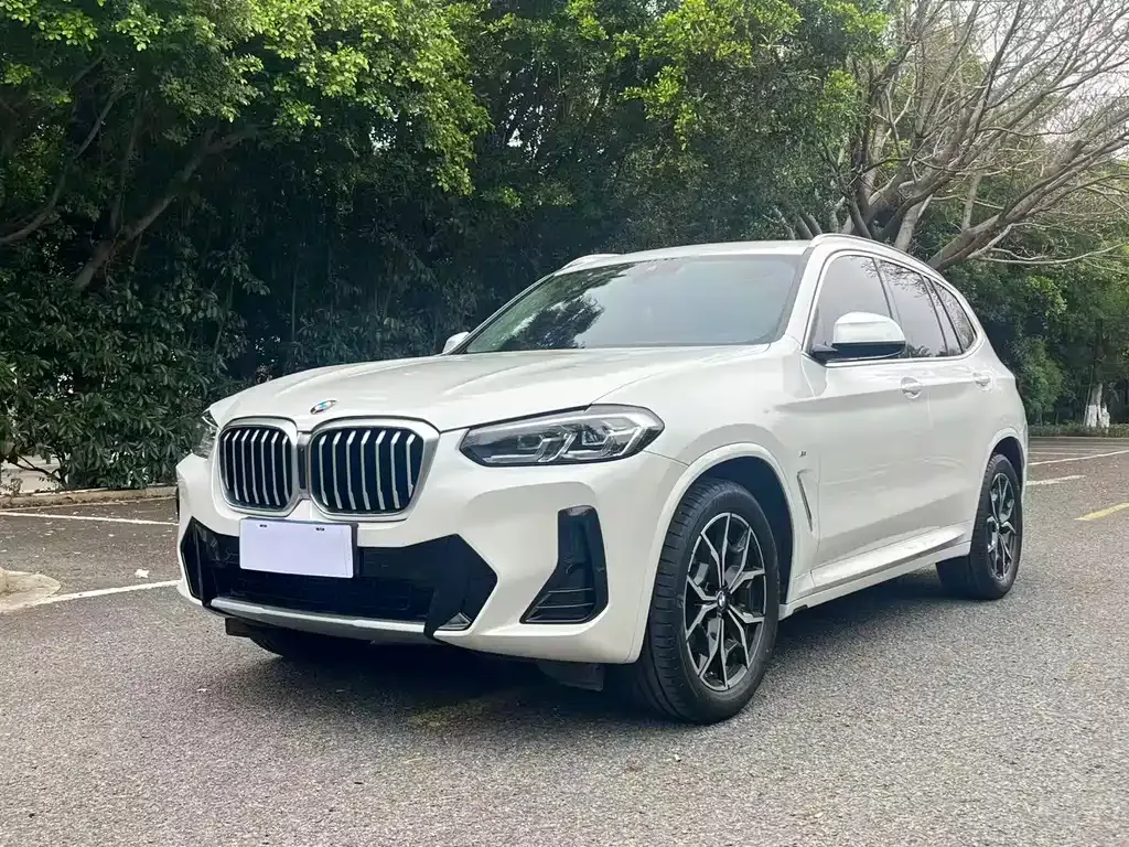 BMW X3 — фото 1