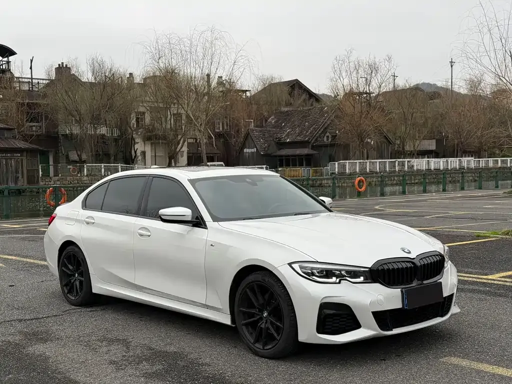 BMW 3 Series 2021 из CN, фото 6