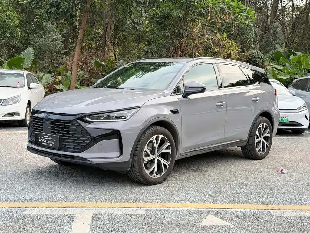 BYD Tang New Energy — фото 1