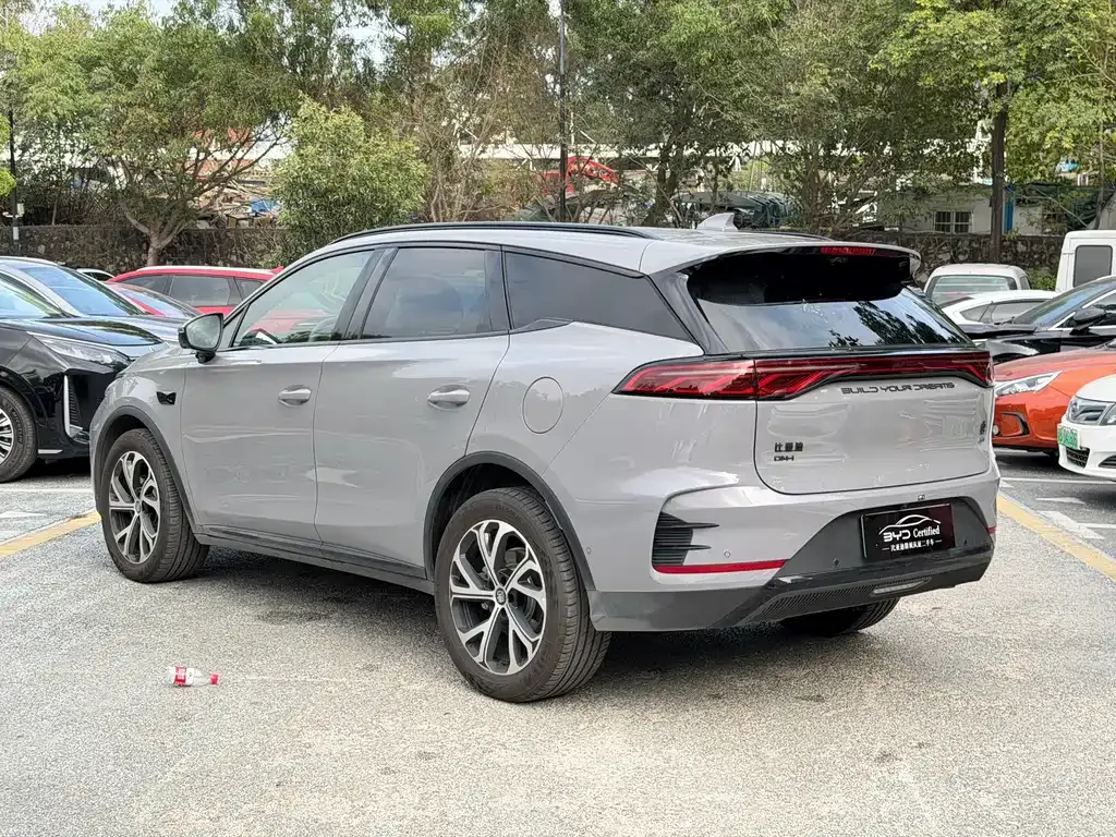 BYD Tang New Energy — фото 5