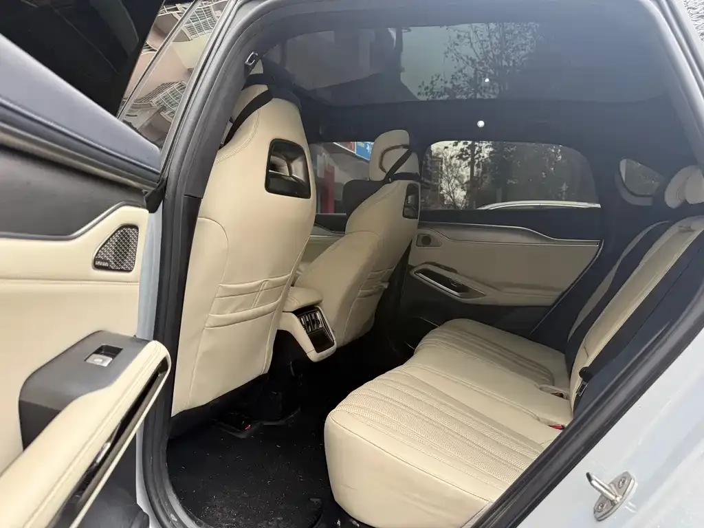 BYD L EV 2024 из CN, фото 4