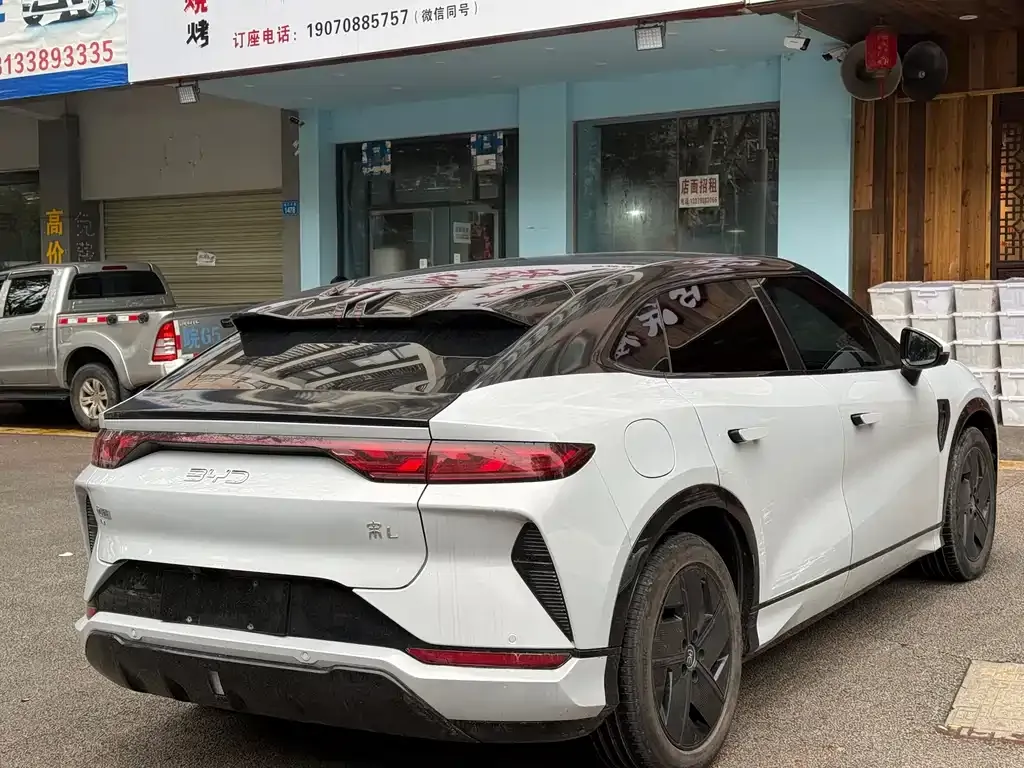 BYD L EV 2024 из CN, фото 5