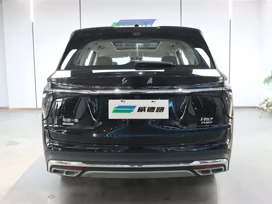 Hongqi HS7 PHEV 2024 из CN, фото 3
