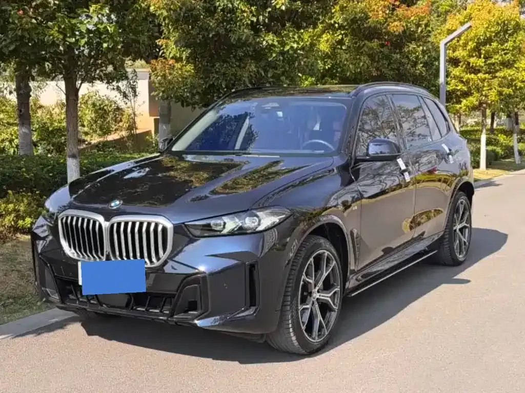 BMW X5 — фото 1