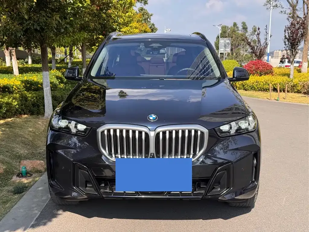 BMW X5 — фото 10