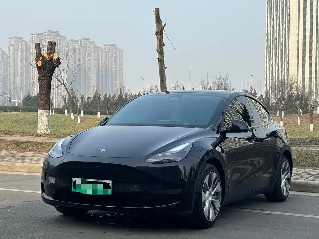 Tesla Model Y — фото 1