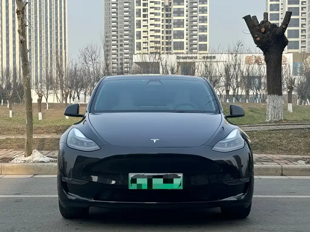 Tesla Model Y — фото 3