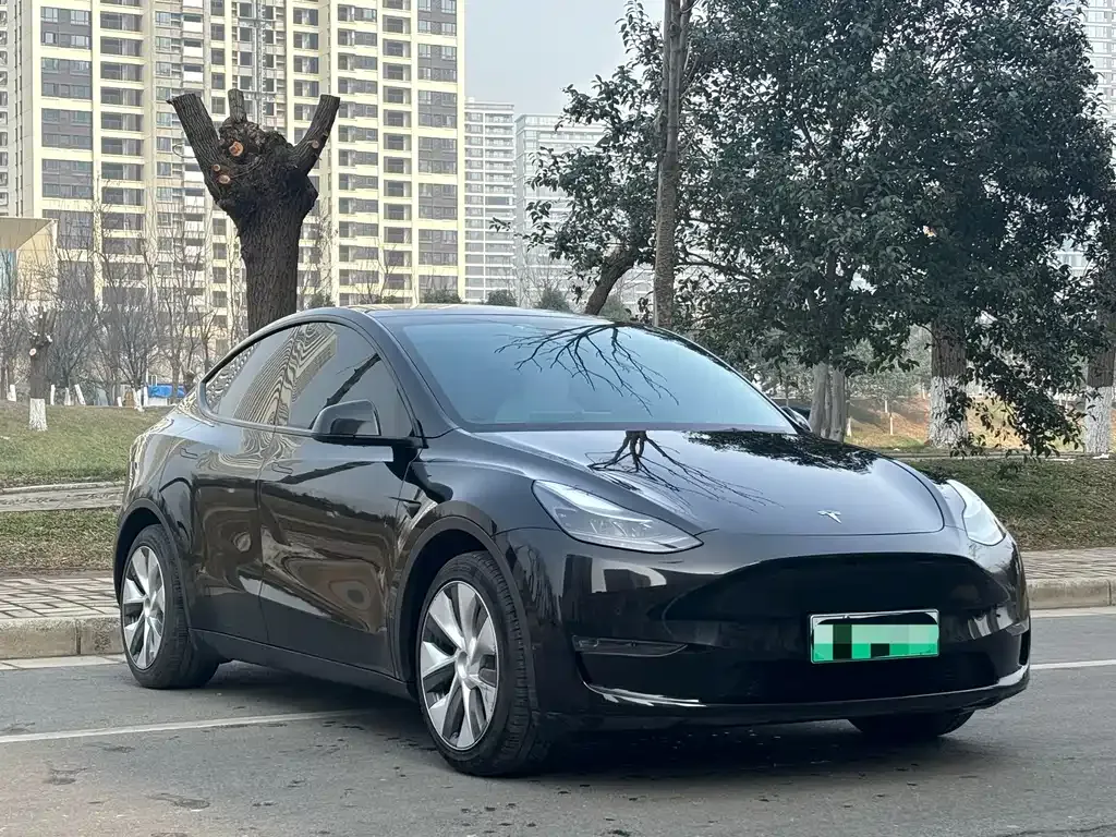 Tesla Model Y — фото 8