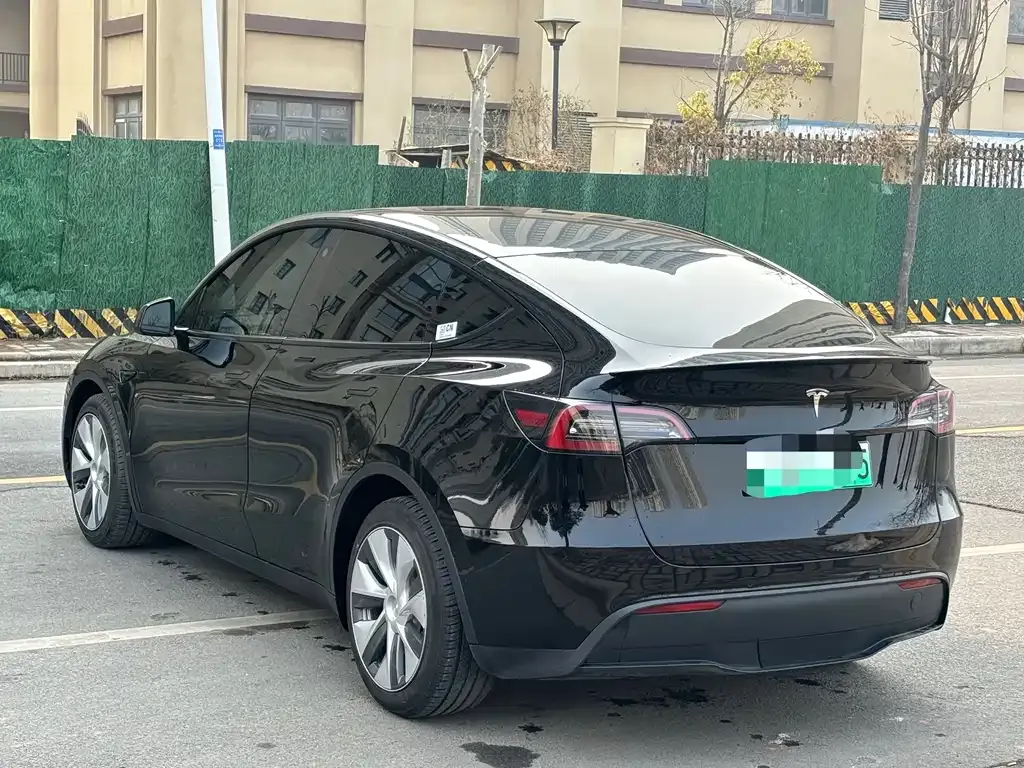 Tesla Model Y — фото 2