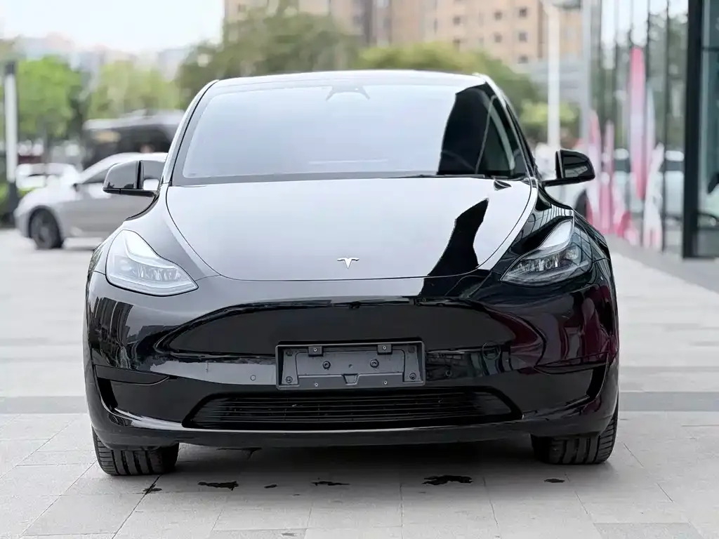 Tesla Model Y — фото 2