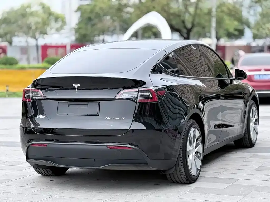 Tesla Model Y — фото 3