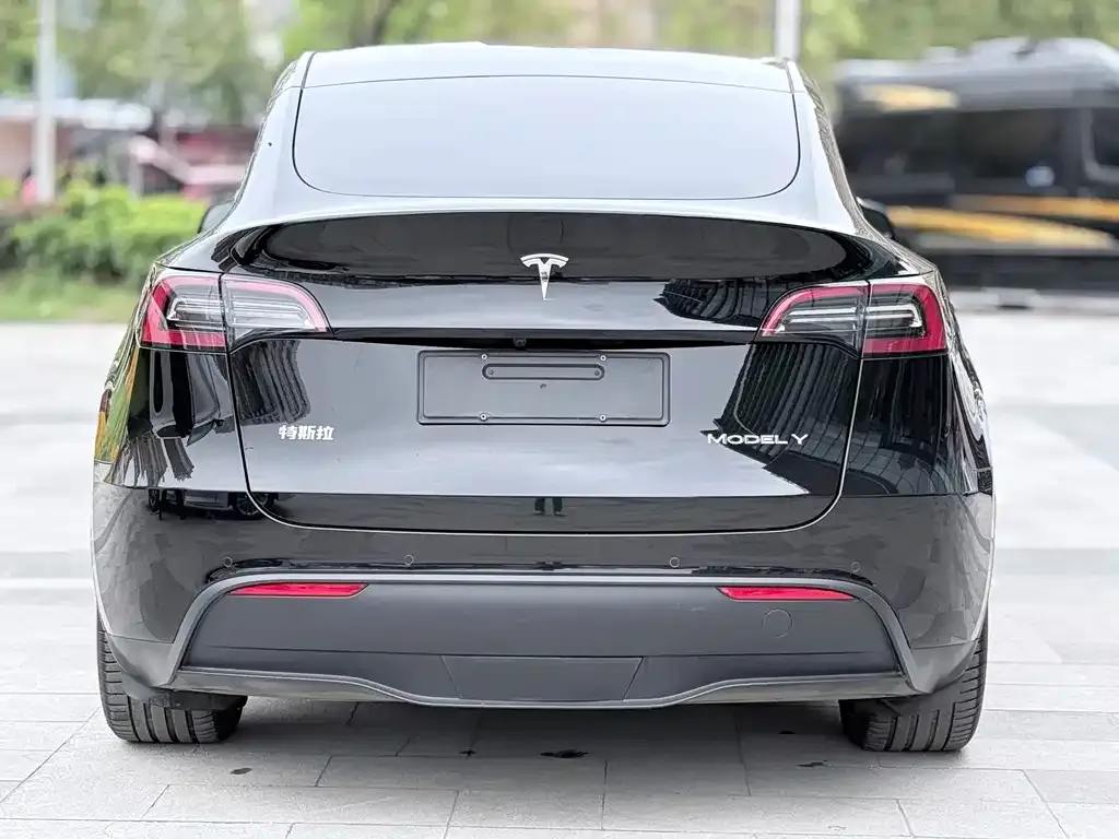 Tesla Model Y — фото 6