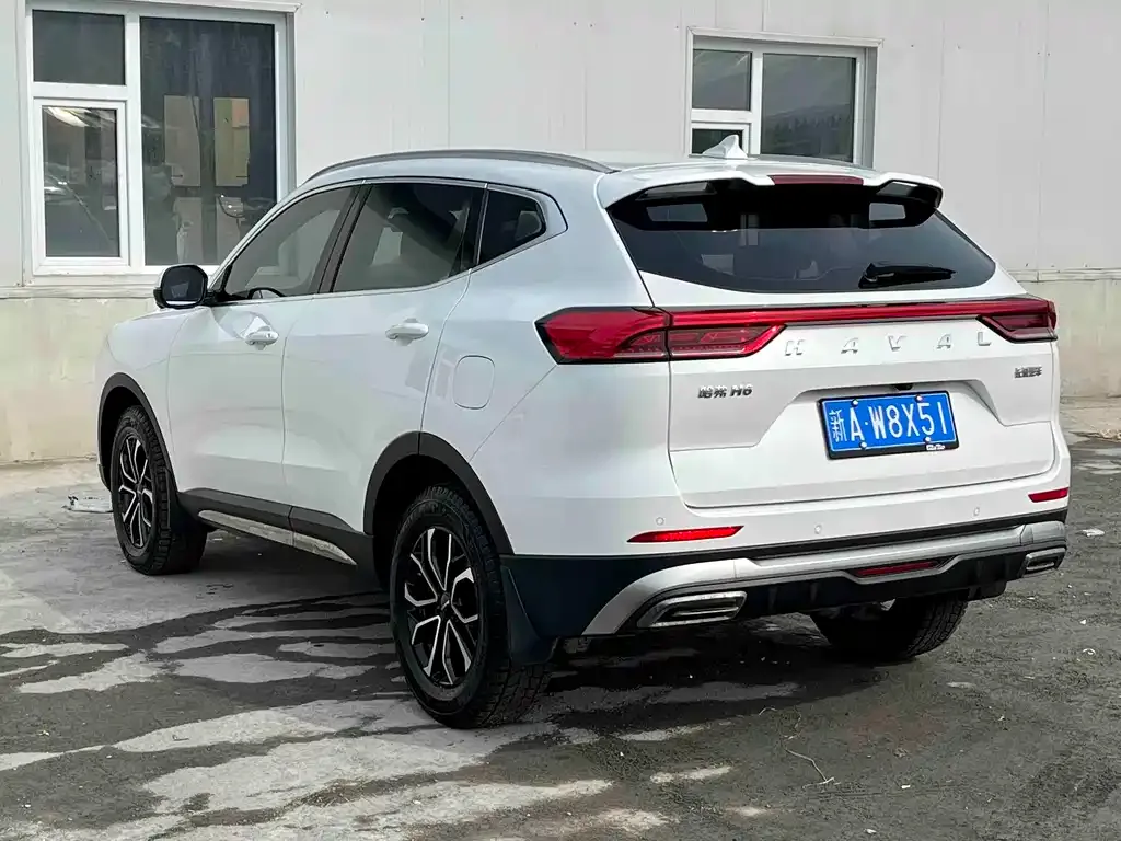 Haval H6 2023 из CN, фото 9