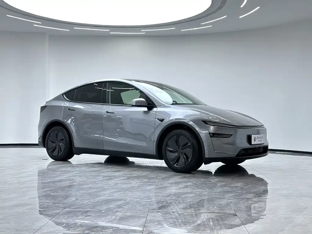 Tesla Model Y — фото 8