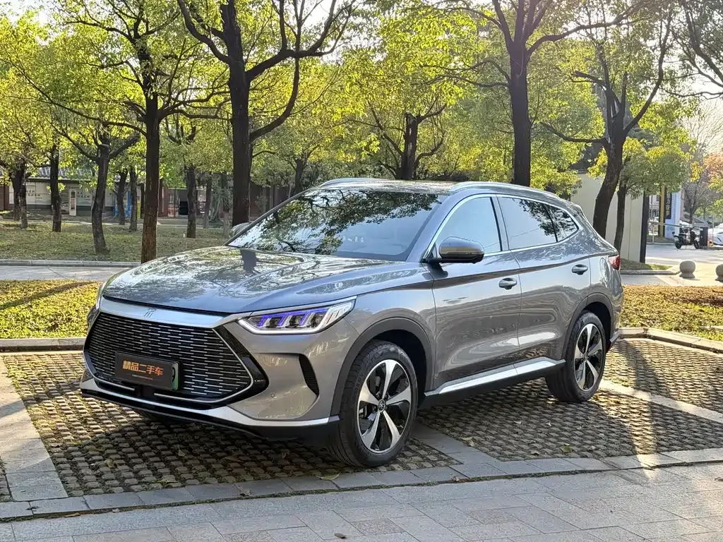 BYD PLUS New Energy — фото 1