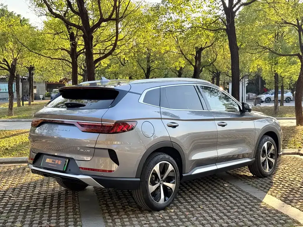 BYD PLUS New Energy — фото 10
