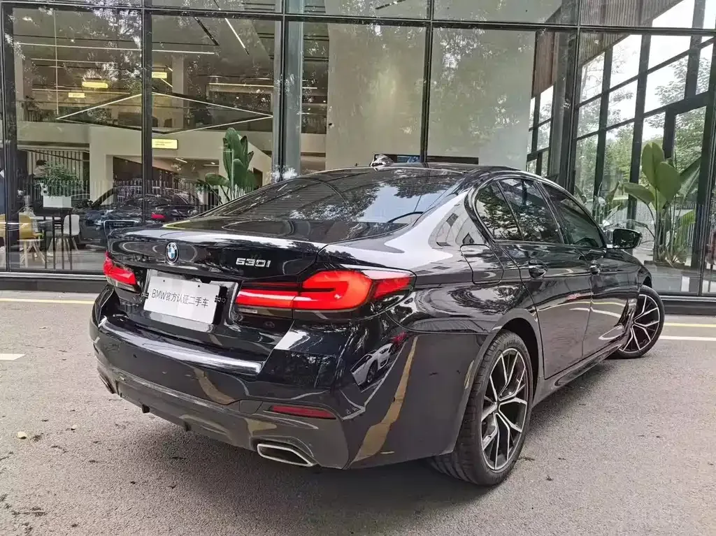 BMW 5 Series (Import) — фото 10