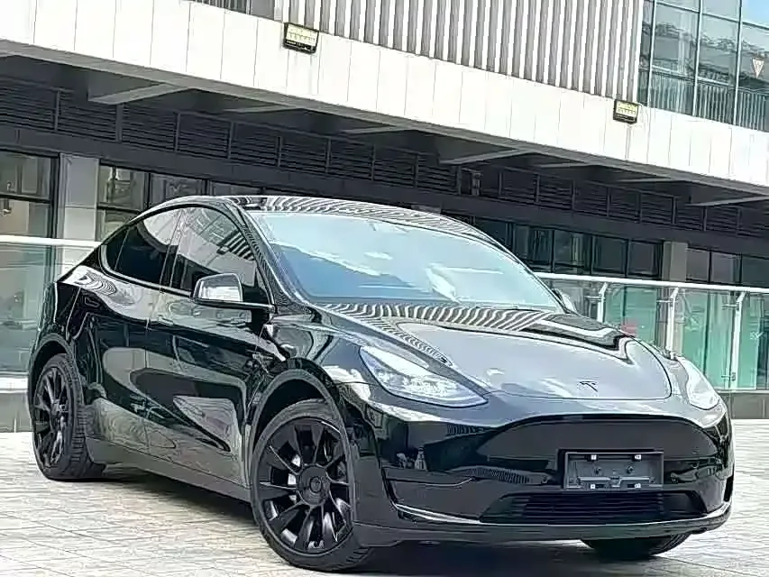 Tesla Model Y — фото 2
