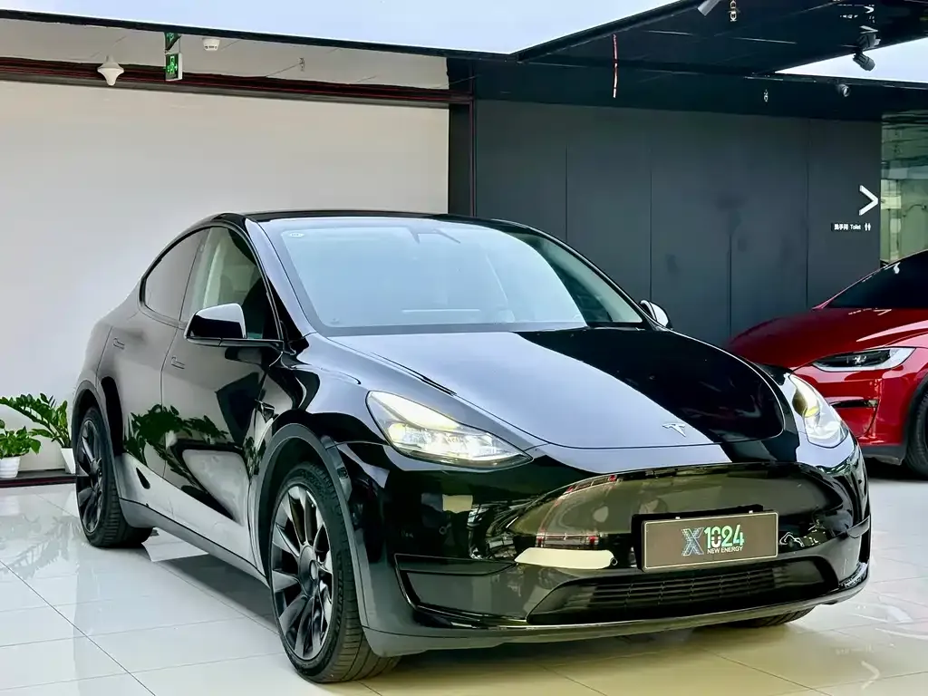 Tesla Model Y — фото 7