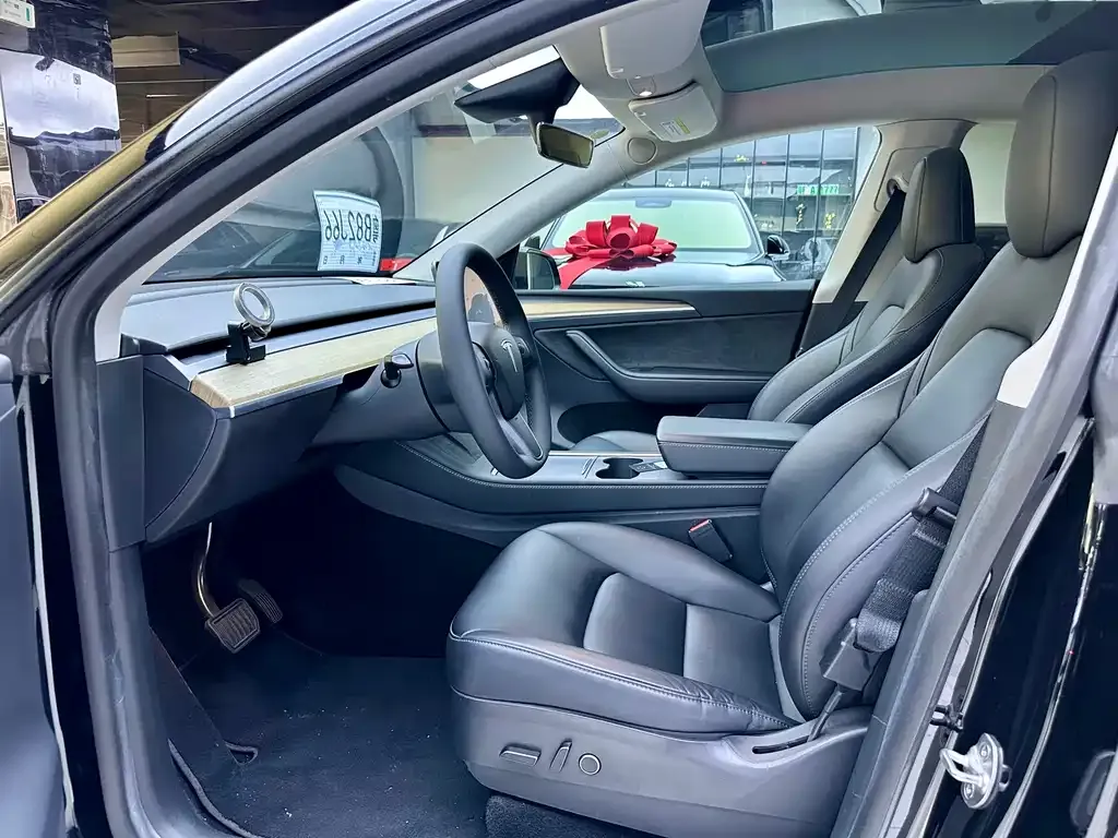Tesla Model Y — фото 8