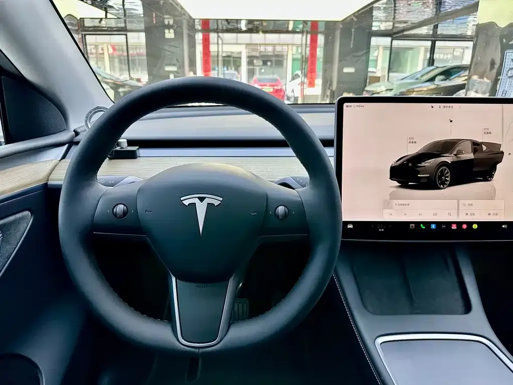 Tesla Model Y — фото 5